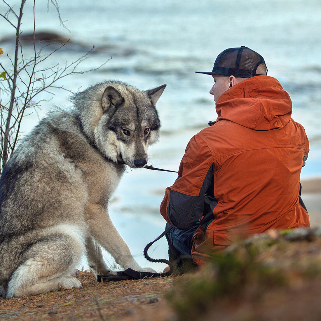 Arrak - Hybridjakke Herrer