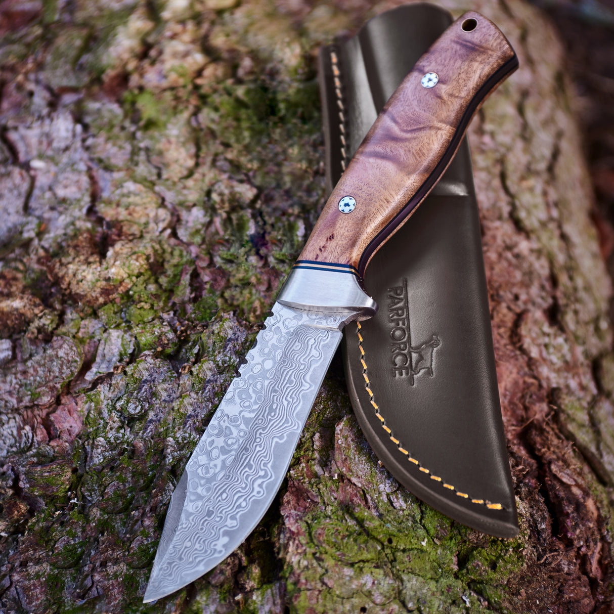 Parforce - Jagtdamask-kniv Ingrata