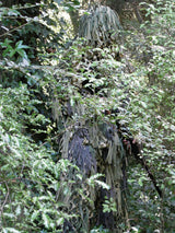 Ghillie Suit Jackal 3D kamouflageset - Woodland