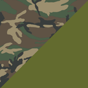 ERDL/Olive Green